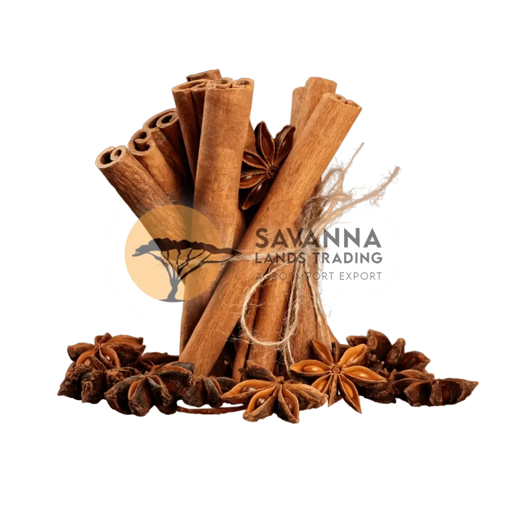 Cinnamon and star anise spices