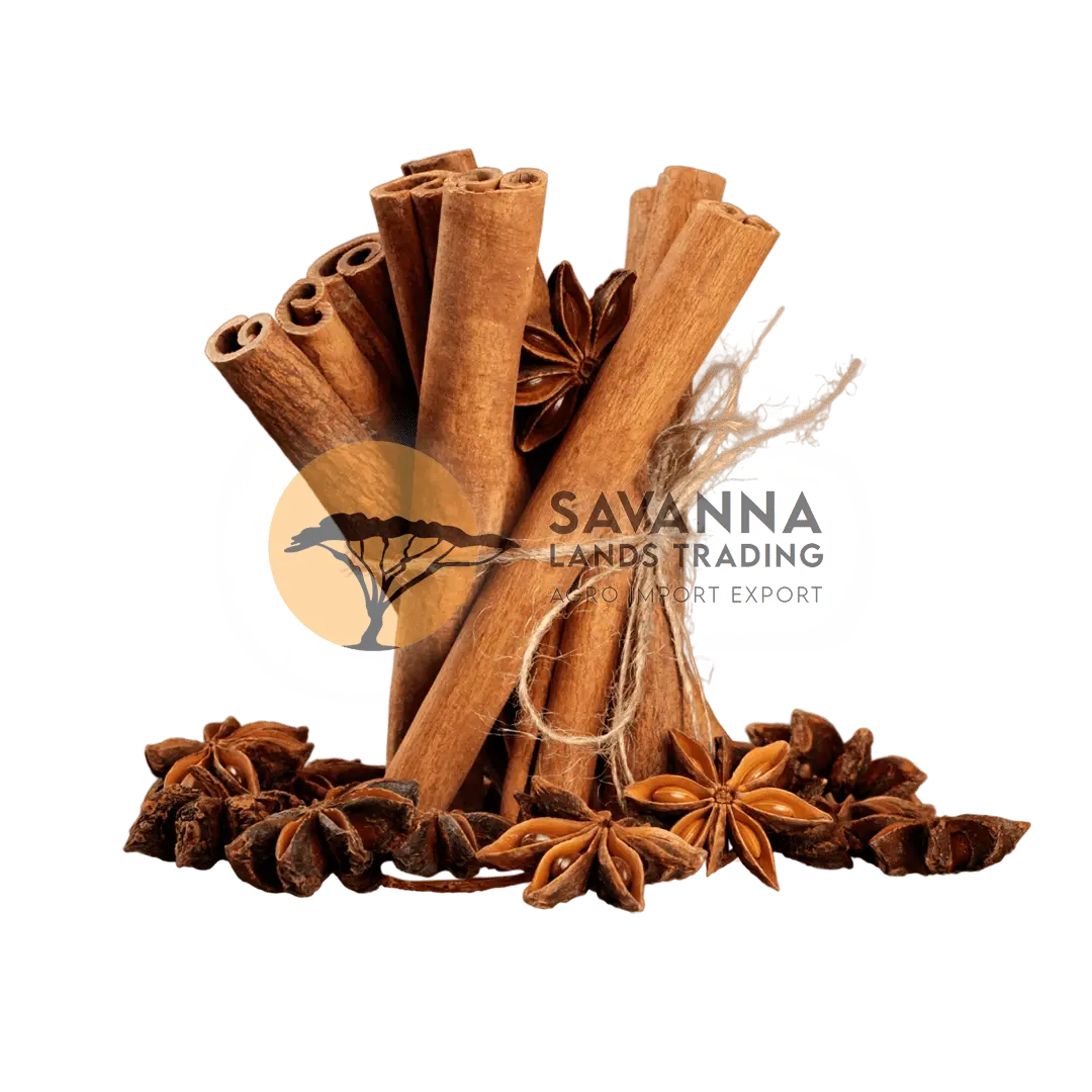 Cinnamon and star anise spices