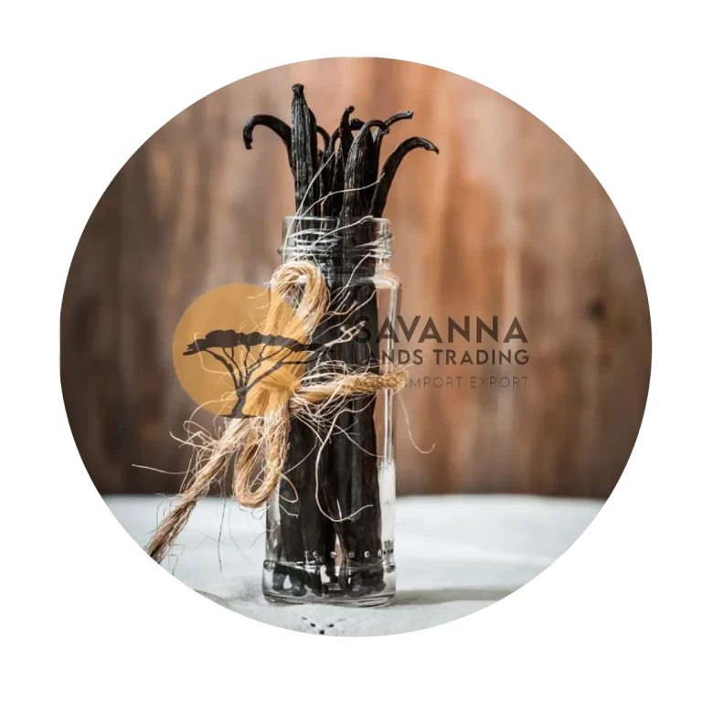 dried vanilla