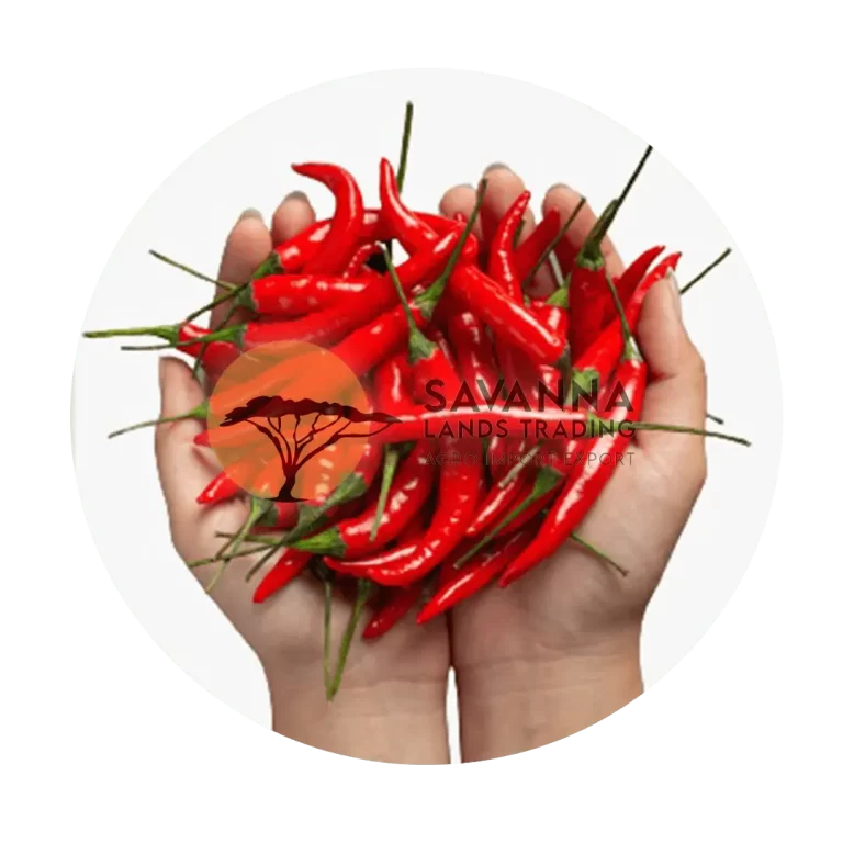 Red Chilli