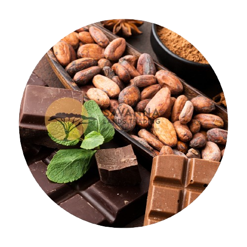 Cocoa beans