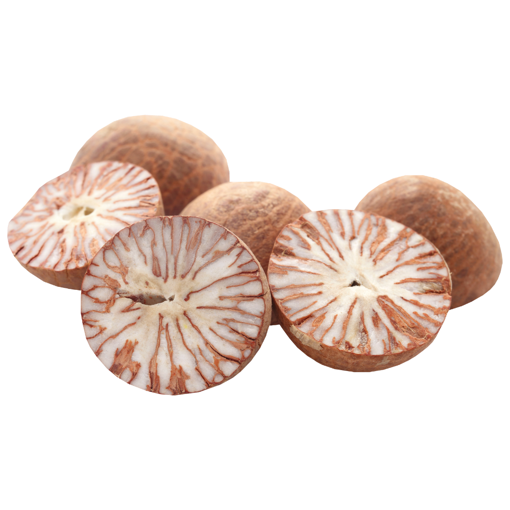 areca nut or betel nut
