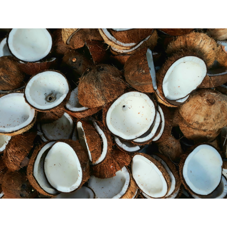 coconuts, white copra