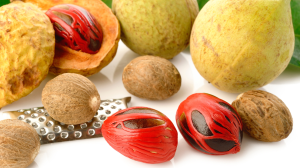 Premium Indonesian nutmeg seeds with rich aroma and warm flavor