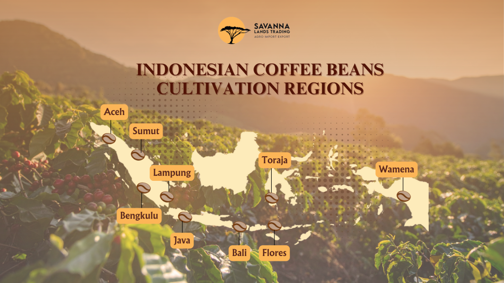 Map showing major coffee cultivation regions in Indonesia